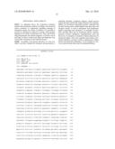 METHOD OF EVALUATING COMPOUND EFFICACIOUS IN TREATING OBESITY BY USING Slc25a10 diagram and image