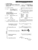 Aptamers as agonists diagram and image