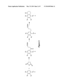 Novel IDO Inhibitors and Methods of Use Thereof diagram and image