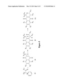 Novel IDO Inhibitors and Methods of Use Thereof diagram and image