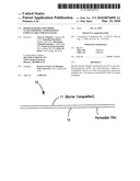 Biodegradable polymeric nanocomposite compositions particularly for packaging diagram and image