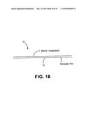 Biodegradable polymeric nanocomposite compositions particularly for packaging diagram and image