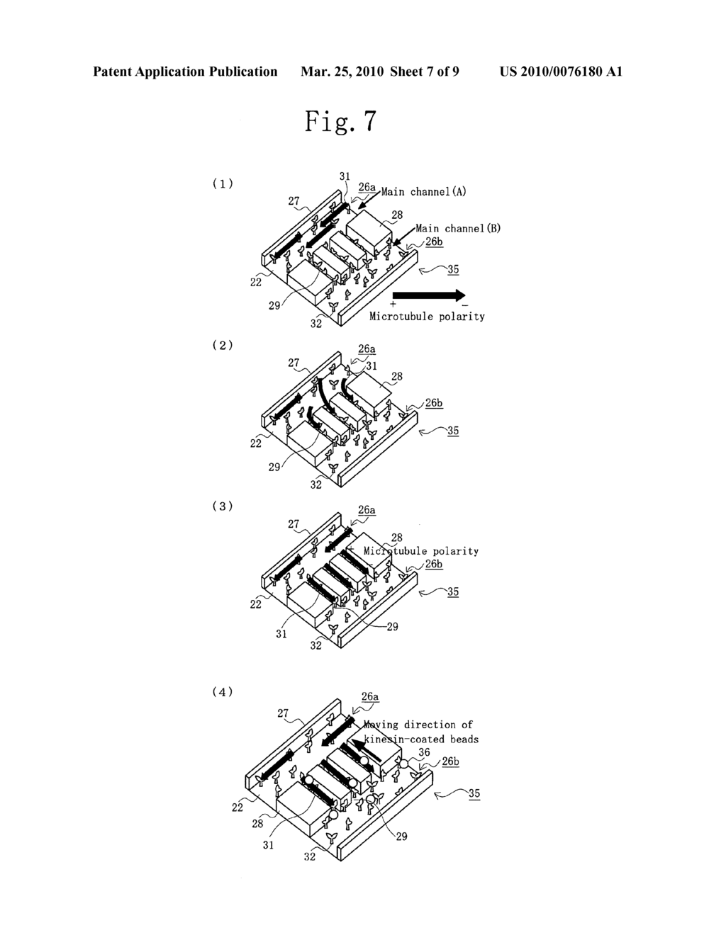 Method of fixing rail molecule and nano transport device - diagram, schematic, and image 08