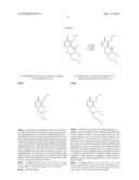 PROCESS FOR THE PREPARATION OF SUBSTITUTED PYRIDONE CARBOXYLIC ACIDS diagram and image