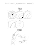 ENDOSCOPE SYSTEM, IMAGE PICKUP SYSTEM AND IMAGE PROCESSING APPARATUS diagram and image