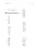 Biopsy needle diagram and image