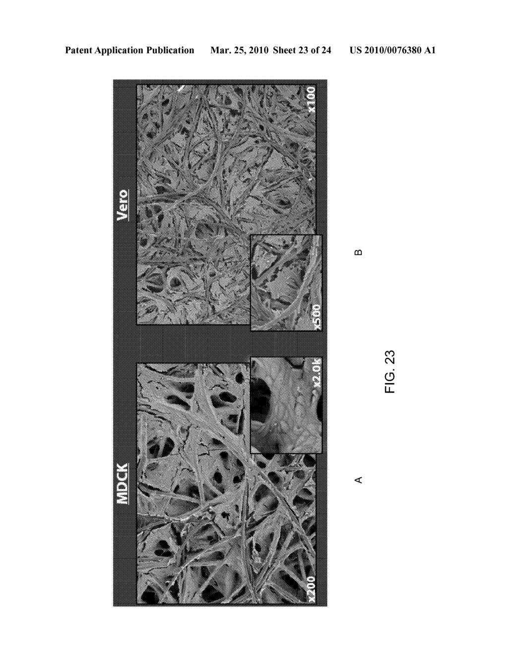 BIOREACTORS - diagram, schematic, and image 24