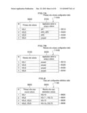 METHOD OF CONSTRUCTING REPLICATION ENVIRONMENT AND STORAGE SYSTEM diagram and image