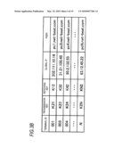 INFORMATION PROCESSING APPARATUS, MANAGEMENT APPARATUS, COMMUNICATION SYSTEM AND COMPUTER READABLE MEDIUM diagram and image