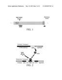 Modulators of RNF5 and Uses Thereof diagram and image