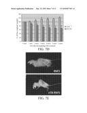 Modulators of RNF5 and Uses Thereof diagram and image