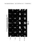 COMPOSITIONS AND METHODS FOR THE EXPRESSION OF NUCLEIC ACIDS diagram and image