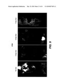 COMPOSITIONS AND METHODS FOR THE EXPRESSION OF NUCLEIC ACIDS diagram and image