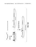 COMPOSITIONS AND METHODS FOR THE EXPRESSION OF NUCLEIC ACIDS diagram and image