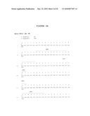 IP-10 ANTIBODIES AND THEIR USES diagram and image