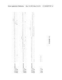 IP-10 ANTIBODIES AND THEIR USES diagram and image