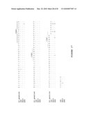 IP-10 ANTIBODIES AND THEIR USES diagram and image