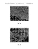 Polymeric compositions containing nanotubes diagram and image