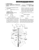 Soil And Water Remediation System And Method diagram and image