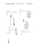 Covalently Immobilized Enzyme and Method To Make The Same diagram and image