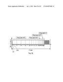 Spatial light modulator performing a gamma correction diagram and image