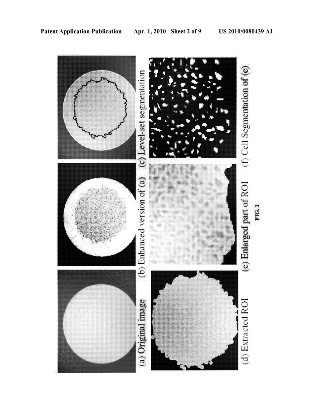 Automatic Cell Migration and Proliferation Analysis - diagram, schematic, and image 03