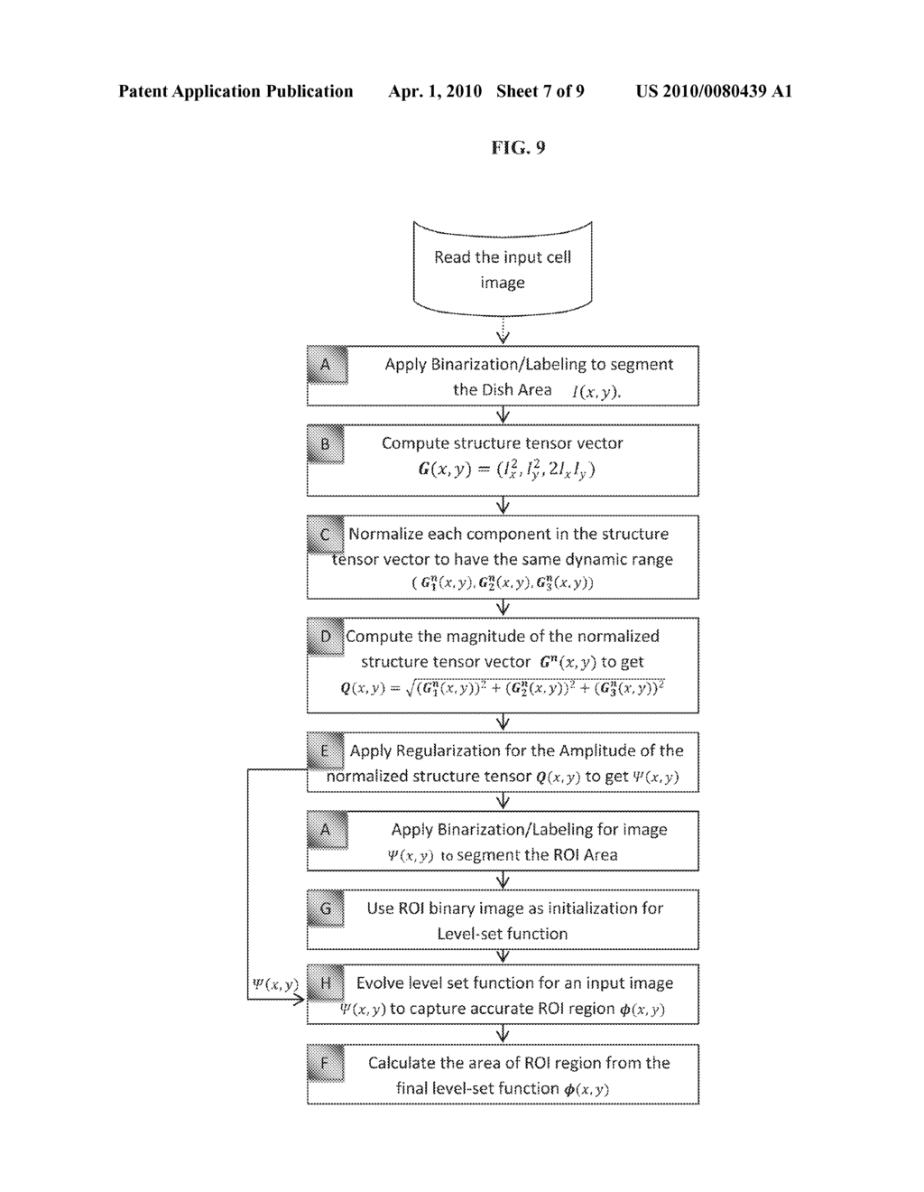 Automatic Cell Migration and Proliferation Analysis - diagram, schematic, and image 08