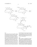 Hepatitis C Virus Inhibitors diagram and image