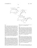 Hepatitis C Virus Inhibitors diagram and image