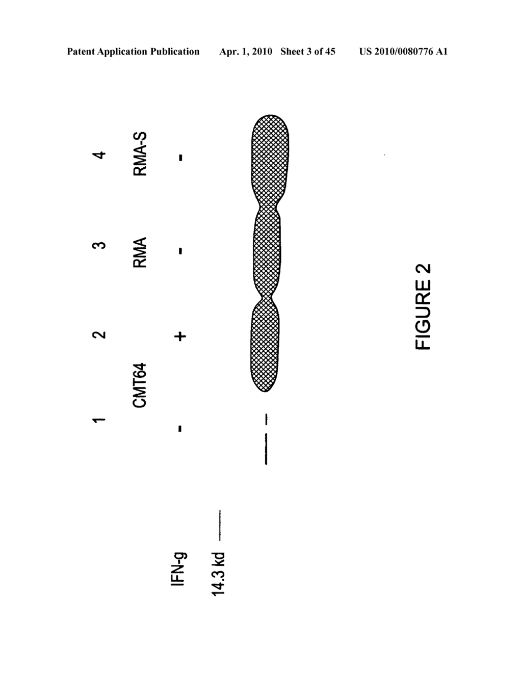 METHOD OF ENHANCING AN IMMUNE RESPONSE - diagram, schematic, and image 04