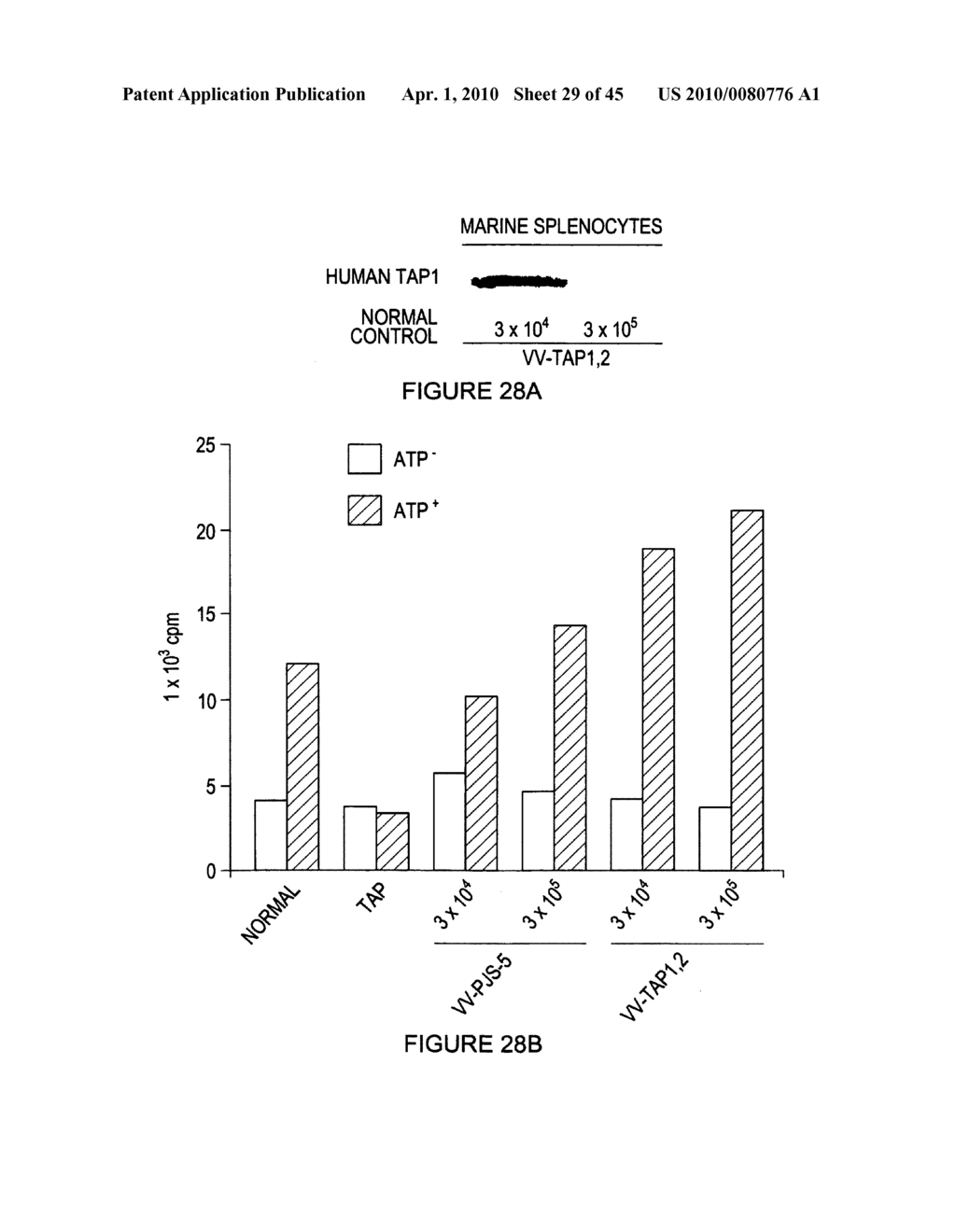 METHOD OF ENHANCING AN IMMUNE RESPONSE - diagram, schematic, and image 30