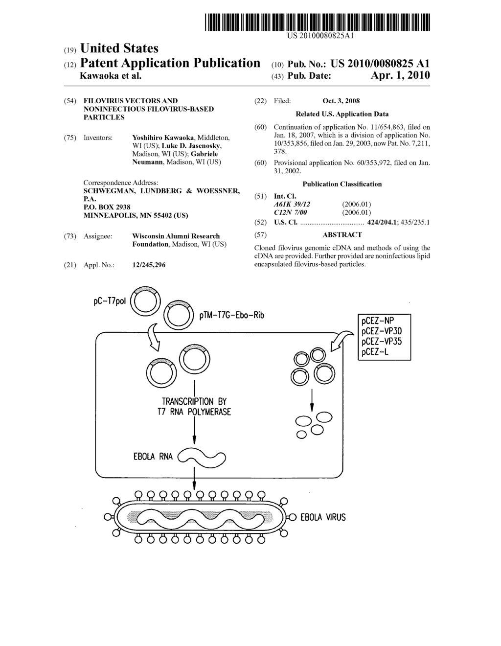 FILOVIRUS VECTORS AND NONINFECTIOUS FILOVIRUS-BASED PARTICLES - diagram, schematic, and image 01