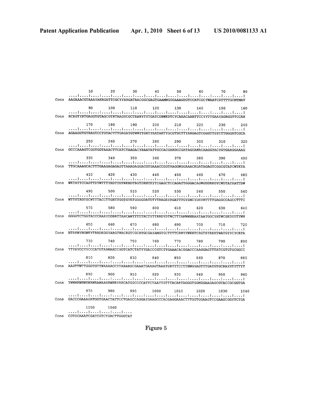 Methods of Detecting Root Knot Nematodes - diagram, schematic, and image 07