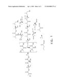 INCREASED HETEROLOGOUS Fe-S ENZYME ACTIVITY IN YEAST diagram and image