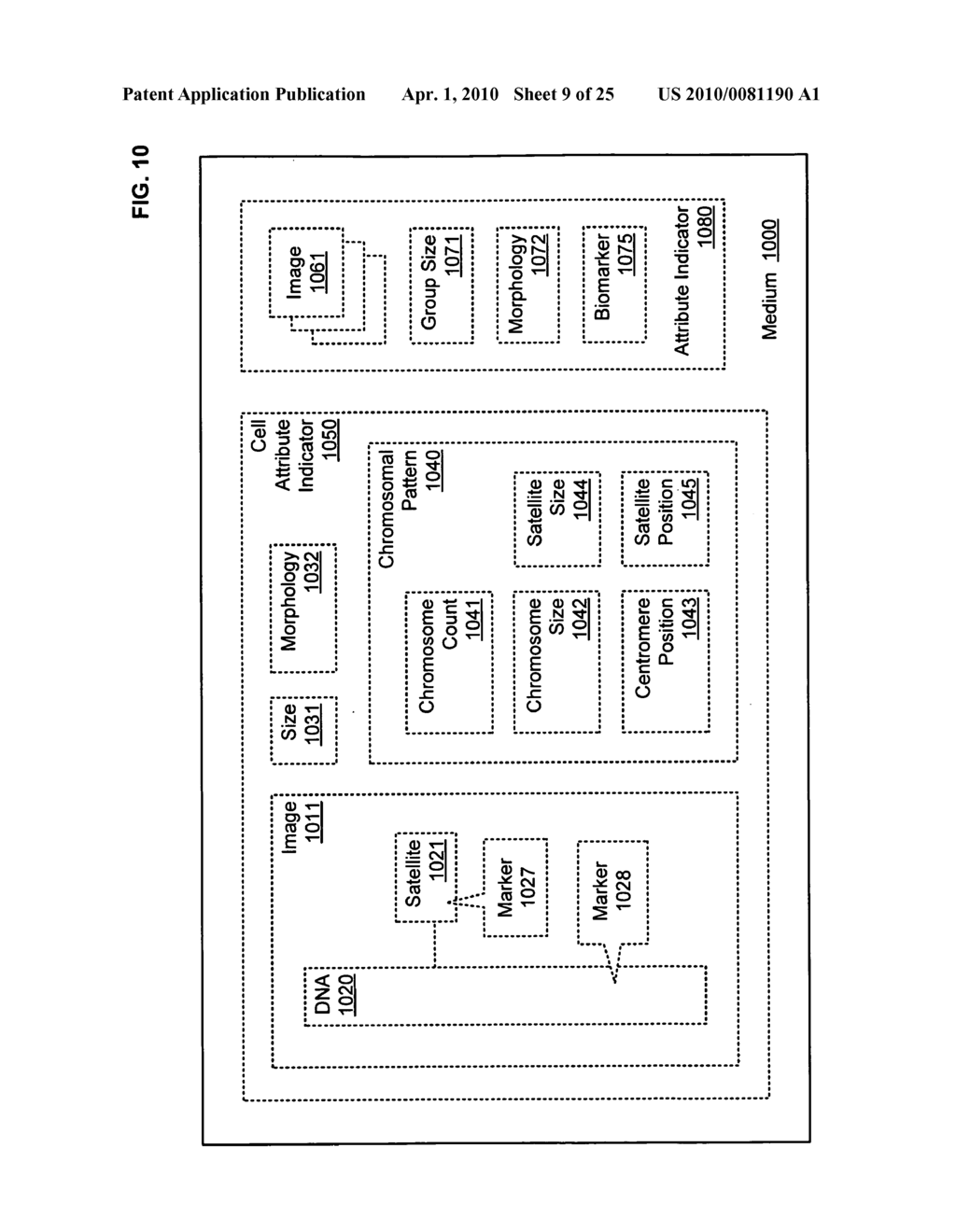 Histological facilitation systems and methods - diagram, schematic, and image 10