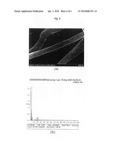 Fabrication method for porous carbon fibers diagram and image