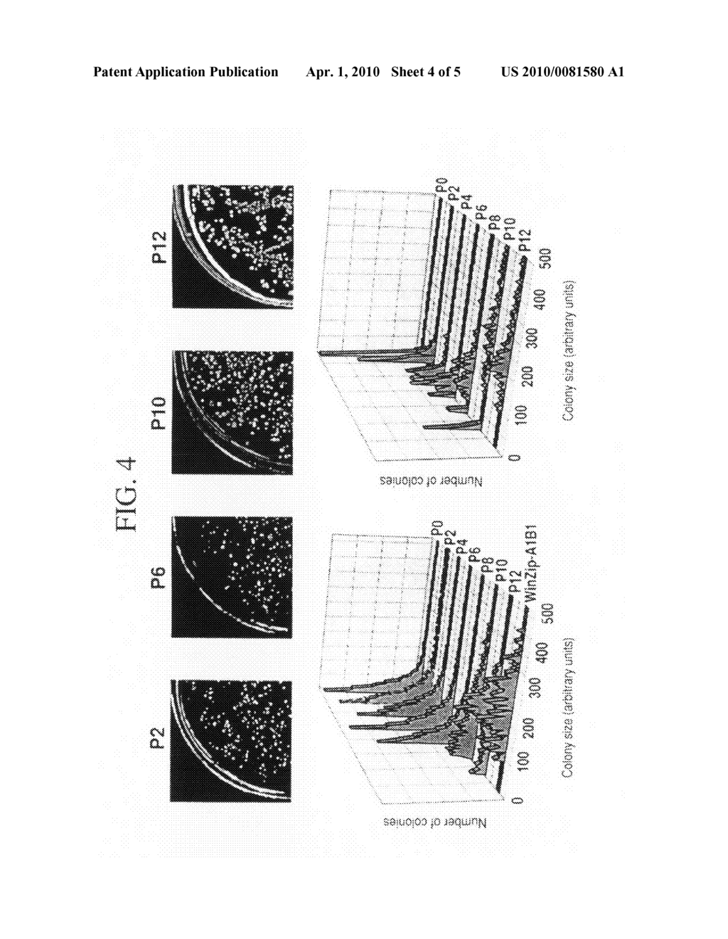 In vivo library-versus-library selection of optimized protein-protein interactions - diagram, schematic, and image 05