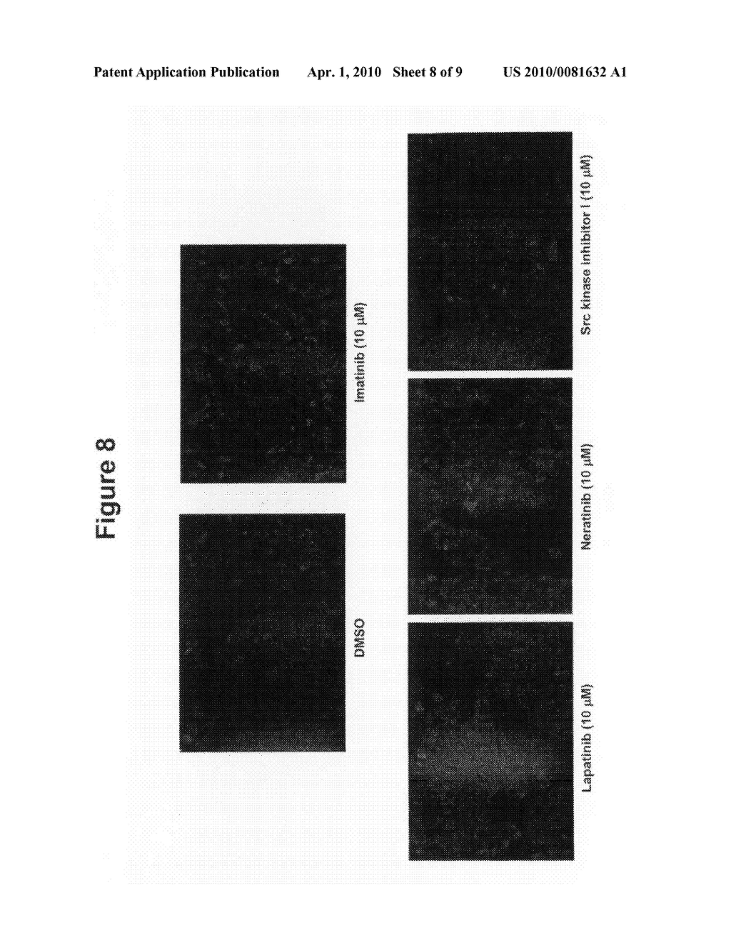 High-content and high throughput assays for identification of lipid-regulating pathways, and novel therapeutic agents for lipid disorders - diagram, schematic, and image 09