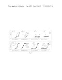 Oncogenic-RAS-signal dependent lethal compounds diagram and image