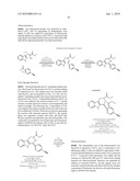 Oncogenic-RAS-signal dependent lethal compounds diagram and image