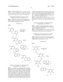 Pyridone derivatives having a binding activity to the cannabinoid type 2 recepter diagram and image