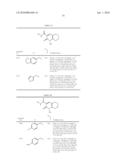 Pyridone derivatives having a binding activity to the cannabinoid type 2 recepter diagram and image