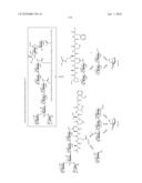 Homogeneous Erythropoietin and Other Peptides and Proteins, Methods and Intermediates for Their Preparation diagram and image