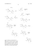 Homogeneous Erythropoietin and Other Peptides and Proteins, Methods and Intermediates for Their Preparation diagram and image