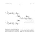 Homogeneous Erythropoietin and Other Peptides and Proteins, Methods and Intermediates for Their Preparation diagram and image