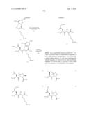 Homogeneous Erythropoietin and Other Peptides and Proteins, Methods and Intermediates for Their Preparation diagram and image