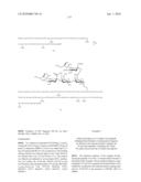 Homogeneous Erythropoietin and Other Peptides and Proteins, Methods and Intermediates for Their Preparation diagram and image