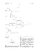 Homogeneous Erythropoietin and Other Peptides and Proteins, Methods and Intermediates for Their Preparation diagram and image