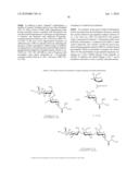 Homogeneous Erythropoietin and Other Peptides and Proteins, Methods and Intermediates for Their Preparation diagram and image