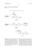 Homogeneous Erythropoietin and Other Peptides and Proteins, Methods and Intermediates for Their Preparation diagram and image